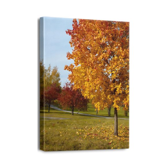 12x16 Scenery Pathway Forest Canvas Prints - Rays Bay Inspired Artwork for Living Room Wall Decor - Beautifully Drawn and Ready to Hang