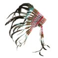 thumbnail image 1 of Tocado de plumas, diadema decorativa, sombrero indio de jefe, tocado para vestido elegante, Día de Acción de Gracias, Mardi Gras, fiesta de escenario estilo A Yinane Tocado de cosplay, 1 of 8