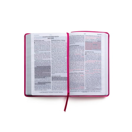 Santa Biblia de Promesas Reina-Valera 1960 / Tamaño Manual / Letra Grande / Piel Especial / Fucsia // Spanish Promise Bible Rv60 / Handy Size / Large Print / Leathersoft / Fuchsia (Other)