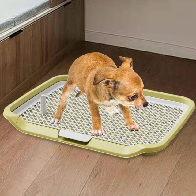 Inodoro para perros, inodoro con rejillas de malla, soporte para almohadillas de entrenamiento para mascotas, almohadilla para orinal para perros para Amarillo Yinane Bandeja de baño para gatos