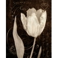 thumbnail image 2 of Amy Melious 20x24 White Modern Wood Framed Wall Art Titled - Garden Architecture II, 2 of 5