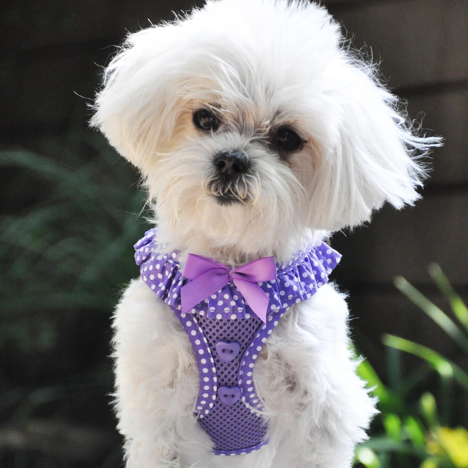 American River Choke-Free Dog Harness by Doggie Design - Purple Polka Dot - X-Small