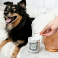 thumbnail image 2 of ~Pourri Pet-Pourri Candle 2-in-1 Pet Odor Eliminating Pawsitively Fresh 7.5oz - 7.5 oz, 2 of 8