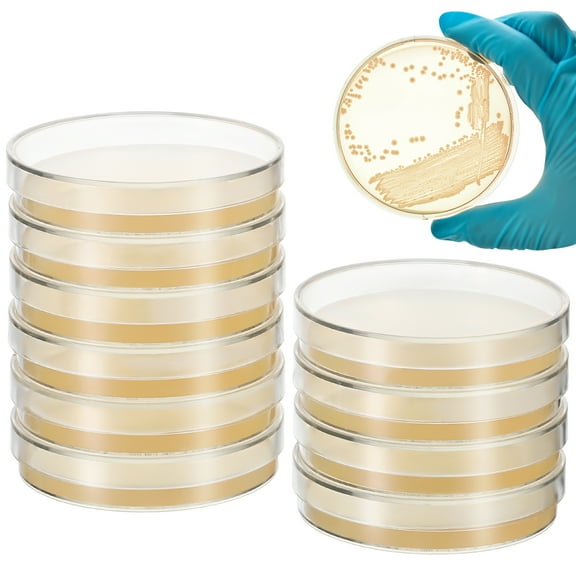 10pcs 7cm Agar Plates Prepoured Agar Petri Dishes Science Projects Supplies