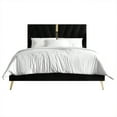 thumbnail image 5 of Castle Place Contemporary Velvet Queen Upholstered Bed with 2 Nightstand and Bench, Black, 5 of 18