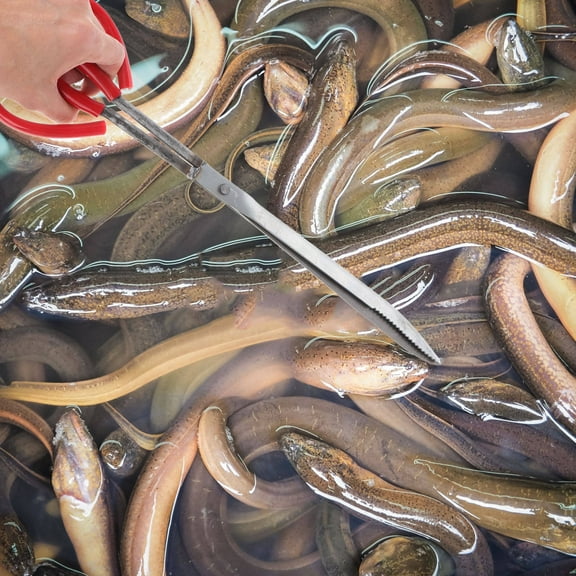 PENIKOKO 1Pcs Pliers Crab Catching Tools Ergonomic Handle Steel Garbage Household Cleaning Men Women