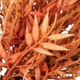 thumbnail image 5 of Northlight Pampas Grass Artificial Fall Harvest Wreath - 24" - Peachy Pink, 5 of 5