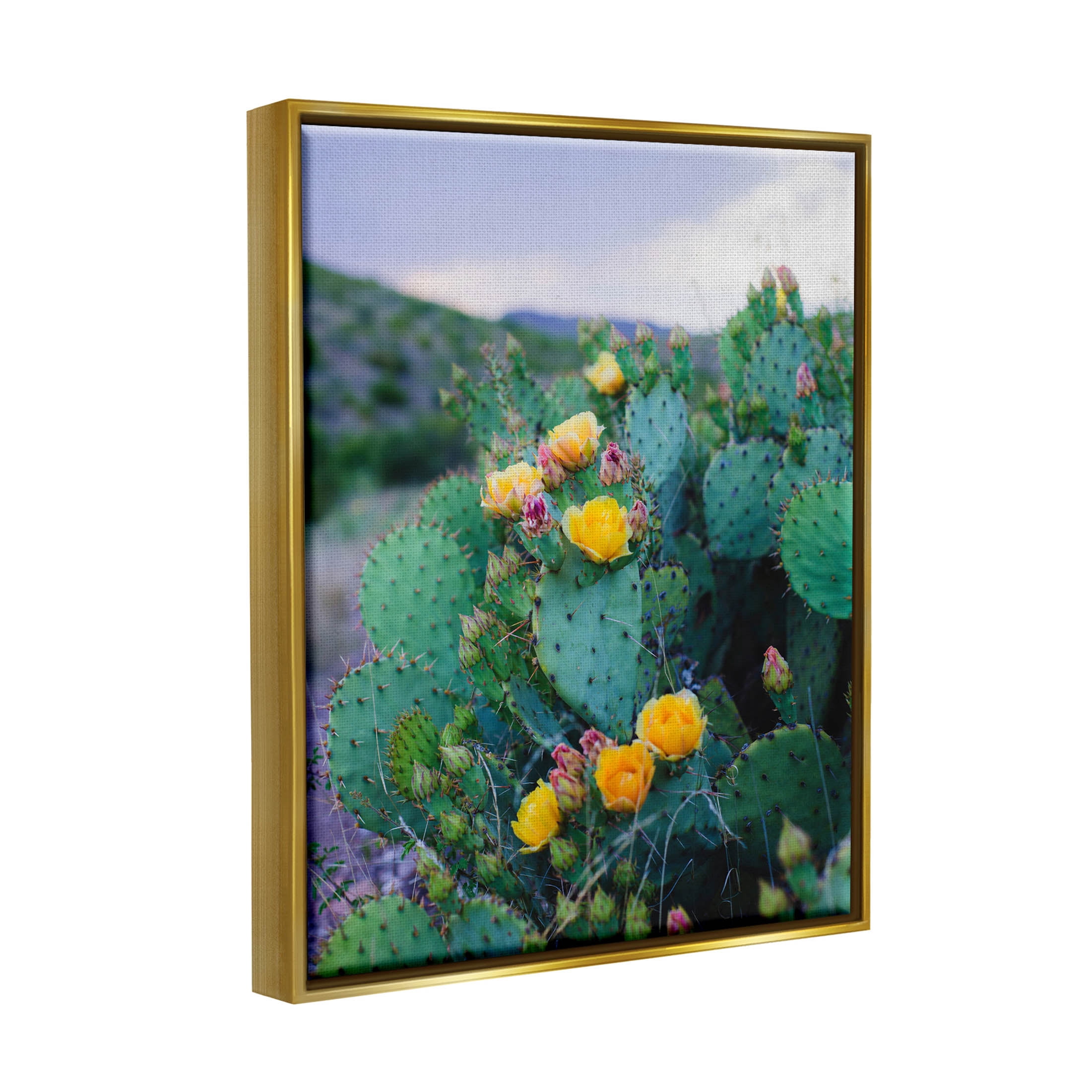 Stupell Industries Vivid Cactus Blossoms Photograph Metallic Gold Floating Framed Canvas Print Wall Art, Design by Sonja Quintero