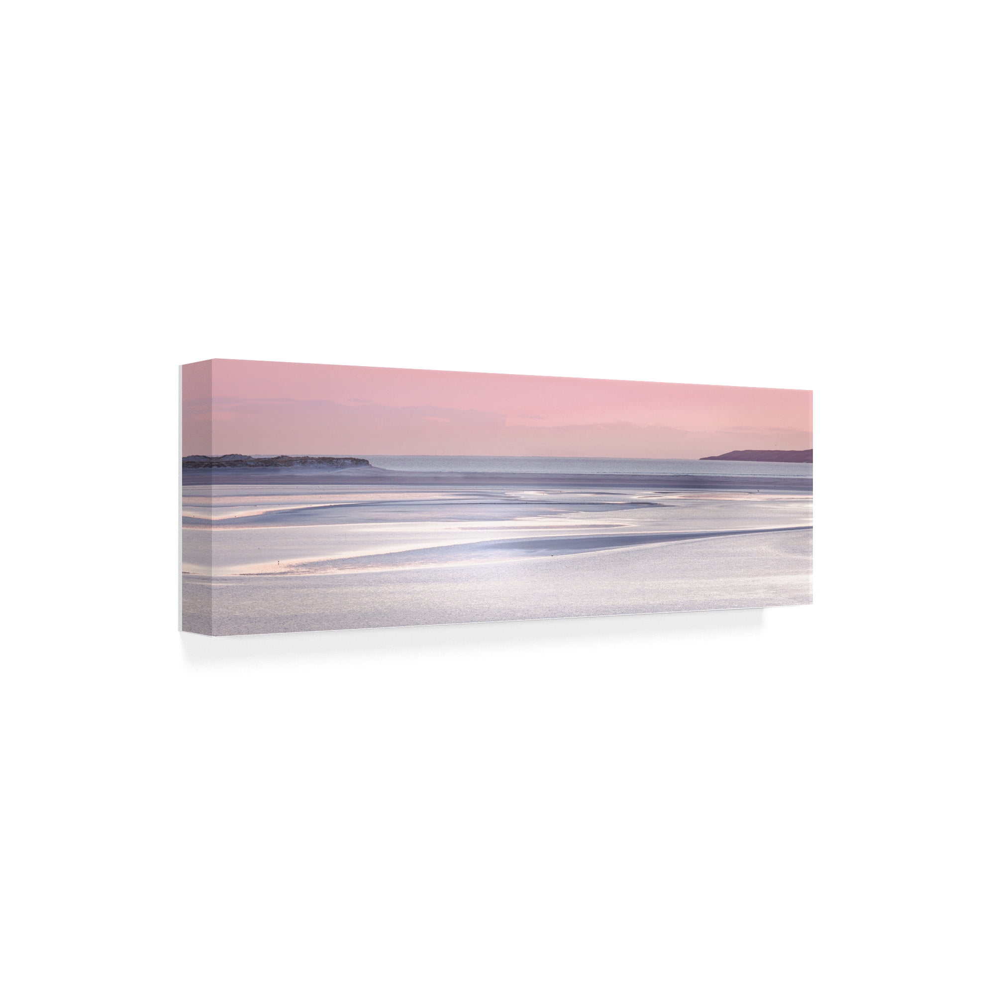 Trademark Fine Art 'Silver Sands' Canvas Art by Lynne Dougla