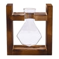 thumbnail image 2 of Dserhfy Plants Propagation Station with Wooden Stand Indoor Plant Terrarium Hydroponic Flower Holder Container Decoration Table Centerpiece, 2 of 8