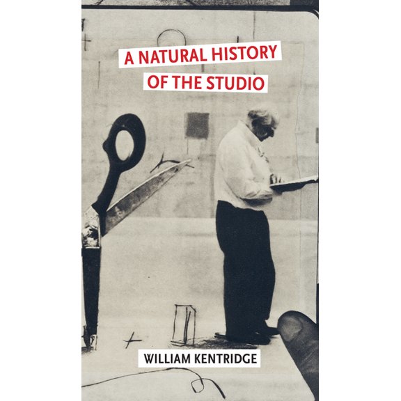A Natural History of the Studio, (Hardcover)