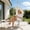 Canvas X-Shaped Basket-White, variant on Hanging Egg Chair wth Stand Patio Hammock Swing Chair with Stand Canopy Indoor/Outdoor Collapsible Minimalist, Easy to Store, Max Load Capacity 400lbs, for Garden, Bedroom, Living Room