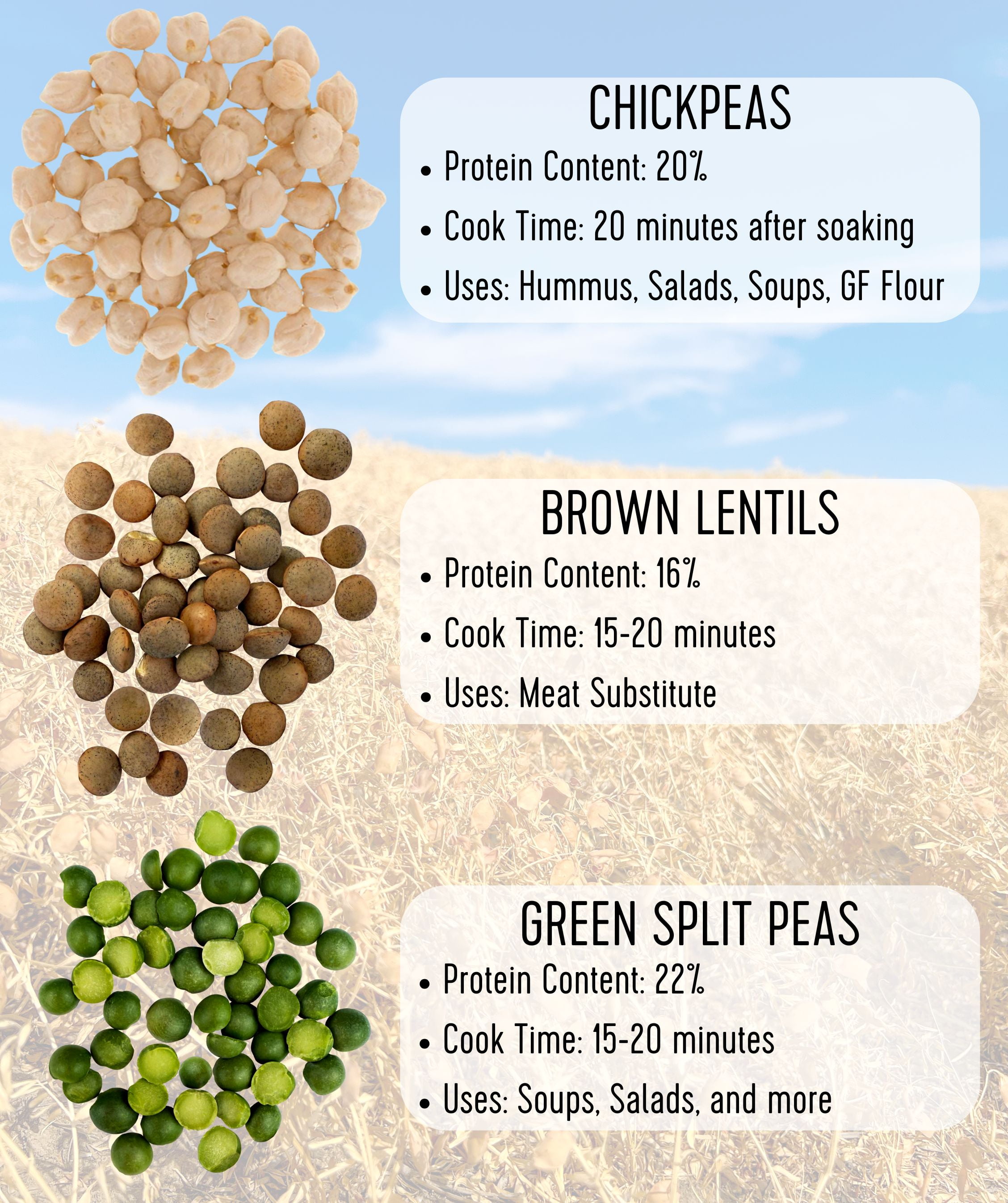 Emergency Legume Bucket Supply | Certified Glyphosate Residue Free | 75 LBS | Chickpeas, Lentils and Green Split Peas [25 lbs each]