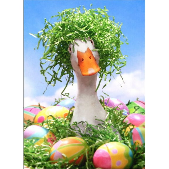 Avanti Press Duck w / Easter Grass Wig Funny / Humorous Goose Easter Card