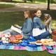 thumbnail image 4 of LHSHID 17 Year Old Girl Gift Ideas Gifts for 17 Year Old Girls 17 Year Old Girl Birthday Gifts 17th Birthday Gifts for Girl 17th Birthday Decorations for Girls Throw Blanket 30"x40", 4 of 6