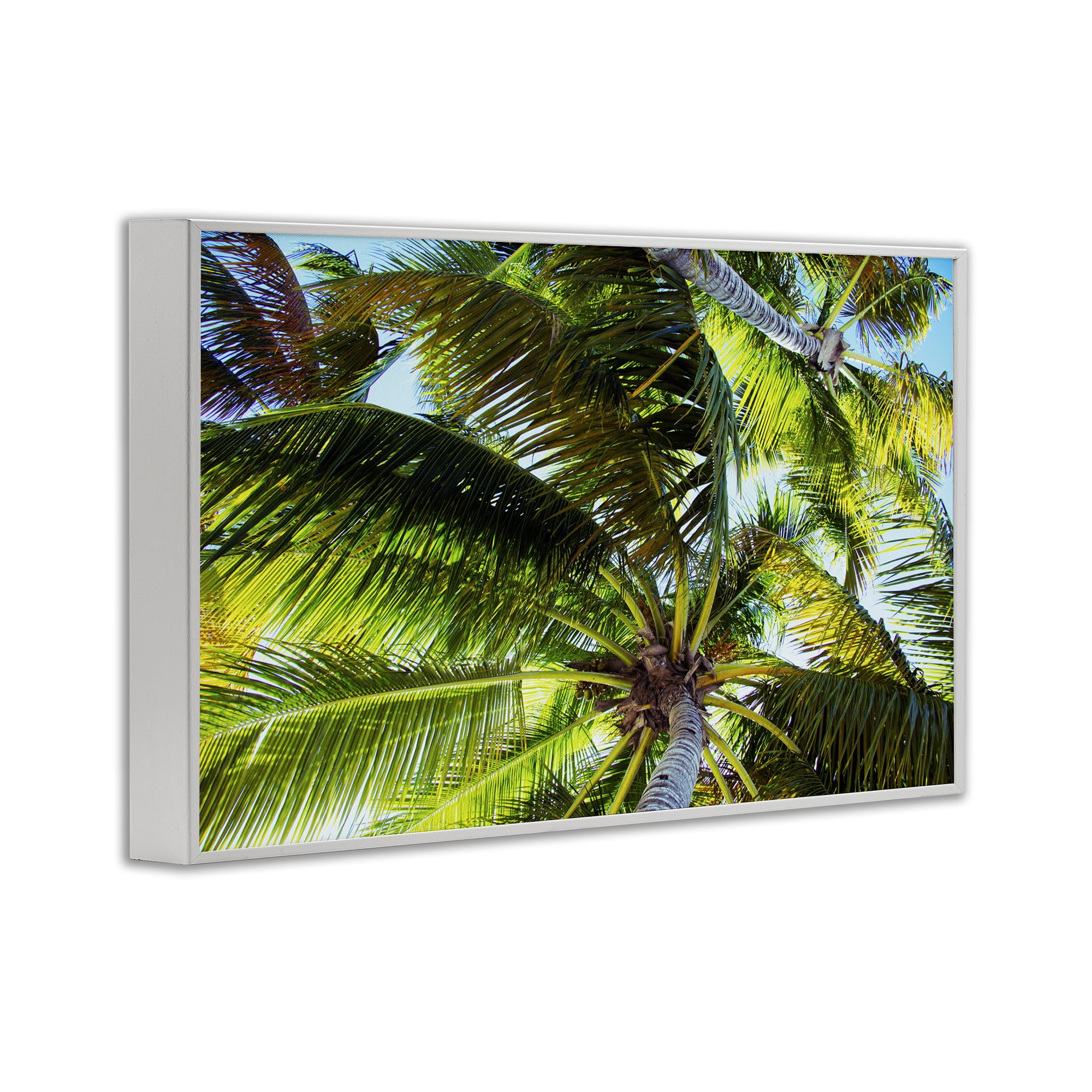 Stupell Industries Swaying Palm Leaves Botanical & Floral Photography White Framed Art Print Wall Art, 18 x 12