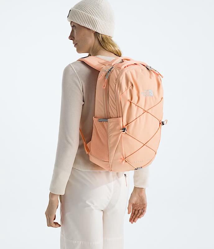 north face borealis backpack ashen purple The Women's #fishingleader But dont think the Billabong Mini Mama Stripe Option:SR04 - Smoked Lemon