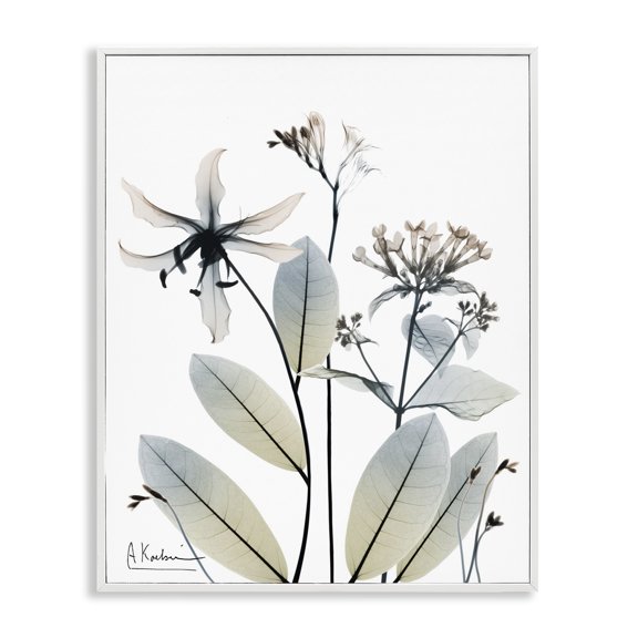 Stupell Industries Modern Minimal Plant Blossoms White Framed Giclee Art, 16 x 20, by Albert Koetsier