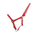 thumbnail image 1 of HYCONIC Collier de Cheval, 1 of 2