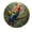 FFclock055, variant on ZXCXRQFa Desk Clocks Watercolor Parrot On Tree Wall Clock Battery Operated Non Ticking Silent Analog Rustic Farmhouse Round Clock Wood Decor for Home Kitchen Living Room Bathroom