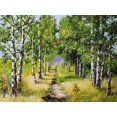 thumbnail image 2 of Chodyukov, Aleksander 14x12 Gold Ornate Wood Framed with Double Matting Museum Art Print Titled - Birch Alley, 2 of 4