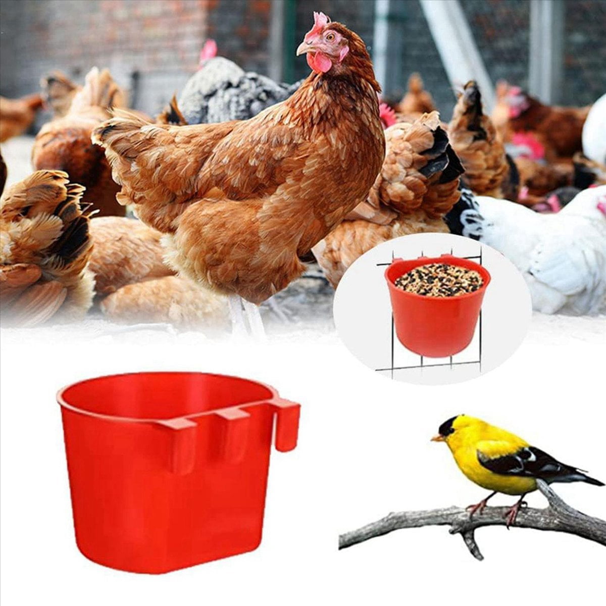40Pcs Chickens Feeders for Cage,Hanging Chicken Water Feeder Cup, Plastic Birds Feeders Seed Bowl,