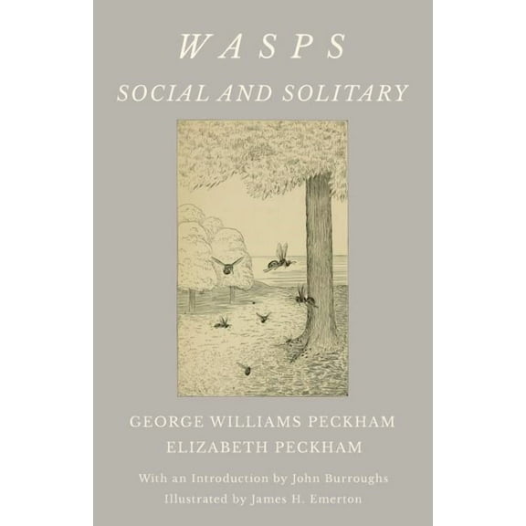 Wasps - Social and Solitary;With an Introduction by John Burroughs - Illustrated by James H. Emerton, (Paperback)