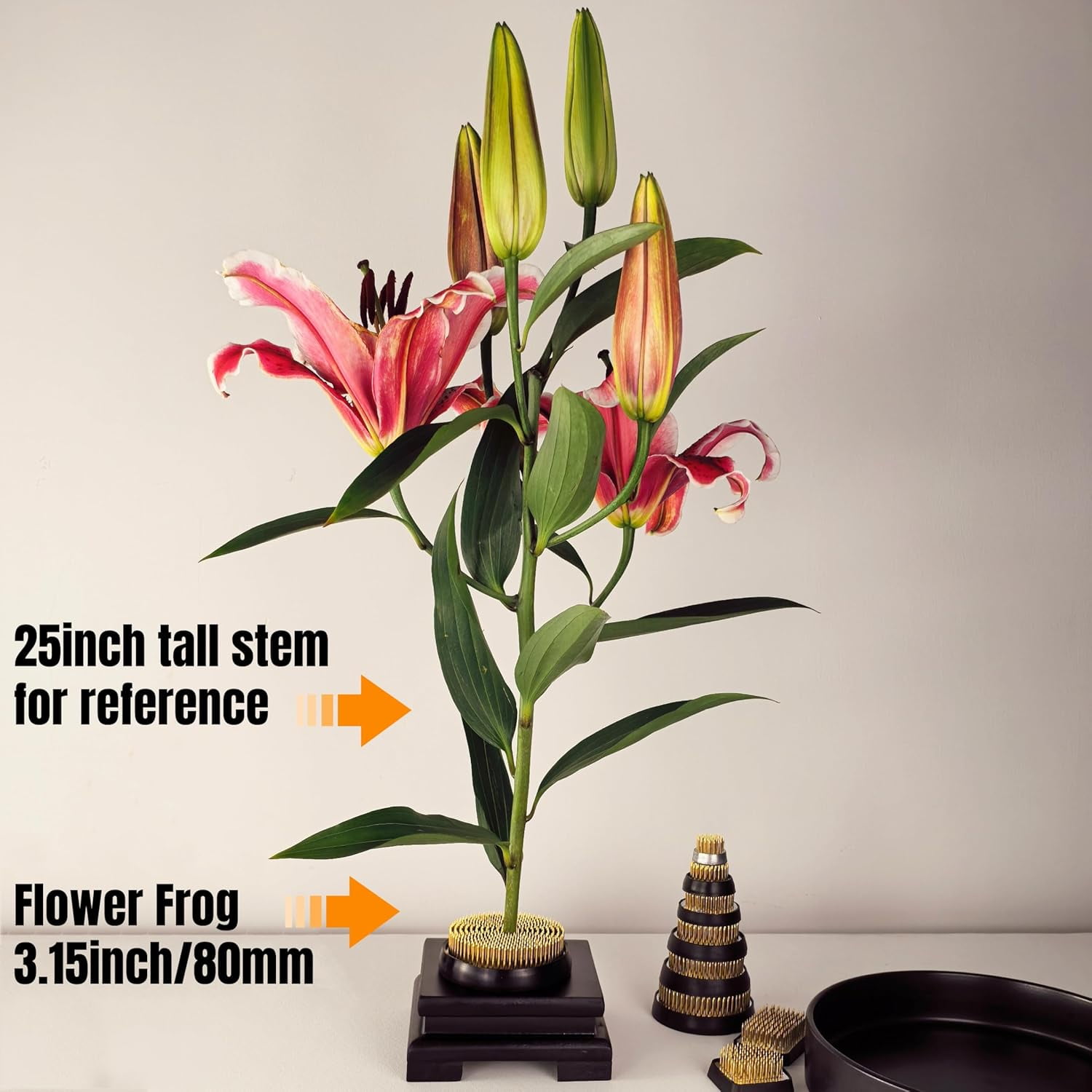 ABCISI Flower Frogs for Flower Arrangements Supplies, Japanese Flower Arranging Ikebana Kenzan, Pin Frogs for Flowers Holder with Rubber Base Flower Fixed Tools (3.15inch)