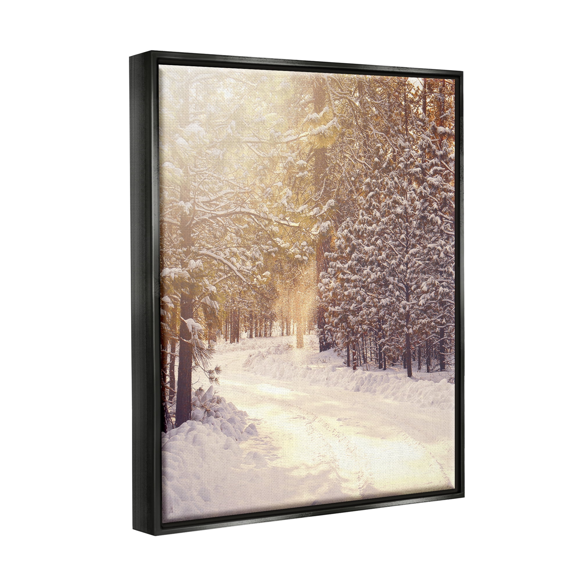 Stupell Industries Snowy Winter Path Nature Photography Black Floater Framed Art Print Wall Art, 17 x 21