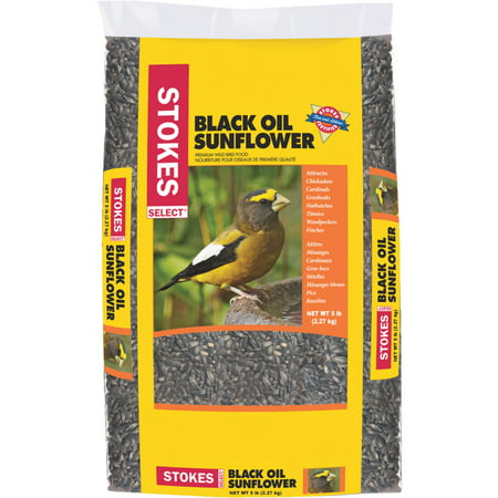 Stokes Select Black Oil Sunflower Seed