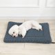 thumbnail image 1 of Alfombras para el hogar ZKCCNUK Mantas para perros Mantas cálidas para perros Cojín de invierno Mantas de felpa suaves para el hogar Sofá cama Suelo Casas Alfombra Alfombras de baño en liquidación, 1 of 6