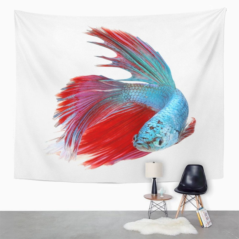 Zealgned Halfmoon Betta Fish Siamese Fighting Splendens Halfmoon White Bettaisolated Wall Art Hanging Tapestry Home Decor For Living Room Bedroom Dorm 51x60 Inch Walmart Com Walmart Com