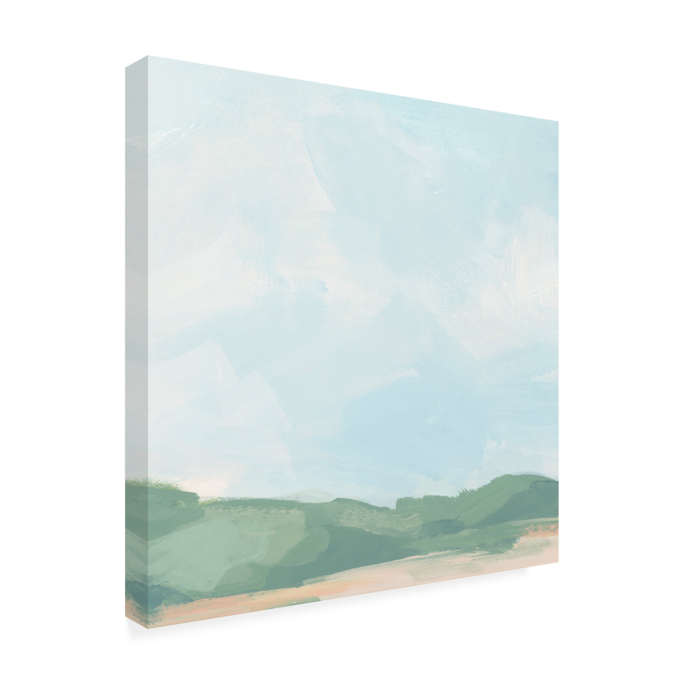 Canvas Wall Art - June Erica Vess 'Sandbar Cameo II' Wall Art for Living Room, Bedroom, or Office Décor by Trademark Fine Art - 24 x 24 Inches