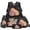 Chalkboard School Capybara, variant on Yspwyqan Graduation Axolotl 4Pcs Backpack Set with Lunch Box Pencil Case Water Bottle Bag, Lightweight Bookbag Fits 13 Inch Laptop for Elementary Middle School Back to School