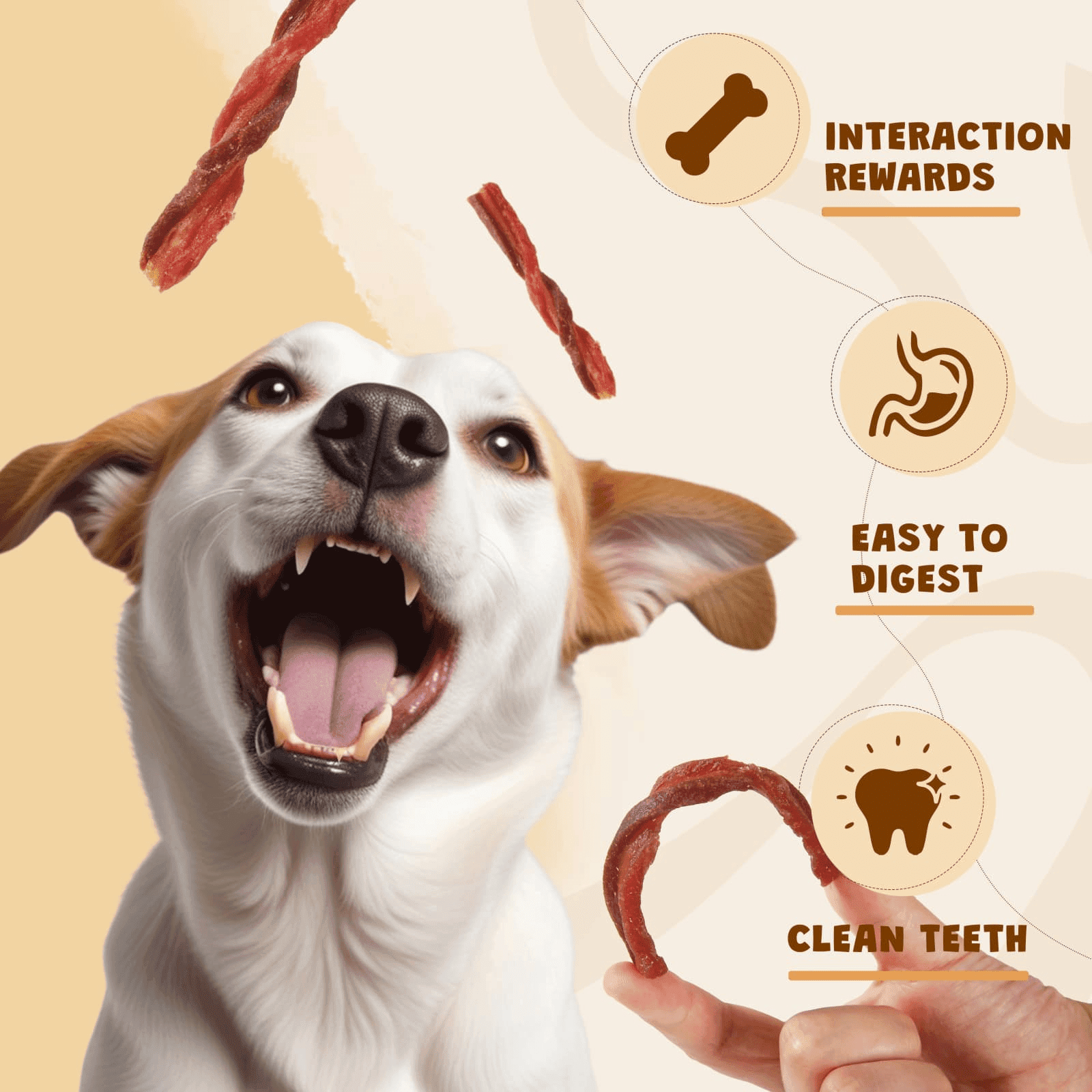 (2 pack) ASMPET Chicken Dog Treats, Beef and Duck Jerky Chew for Small Medium Large Dog, 10.6 oz