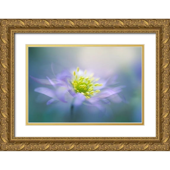 Parker, Jacky 24x17 Gold Ornate Wood Framed with Double Matting Museum Art Print Titled - Windflower