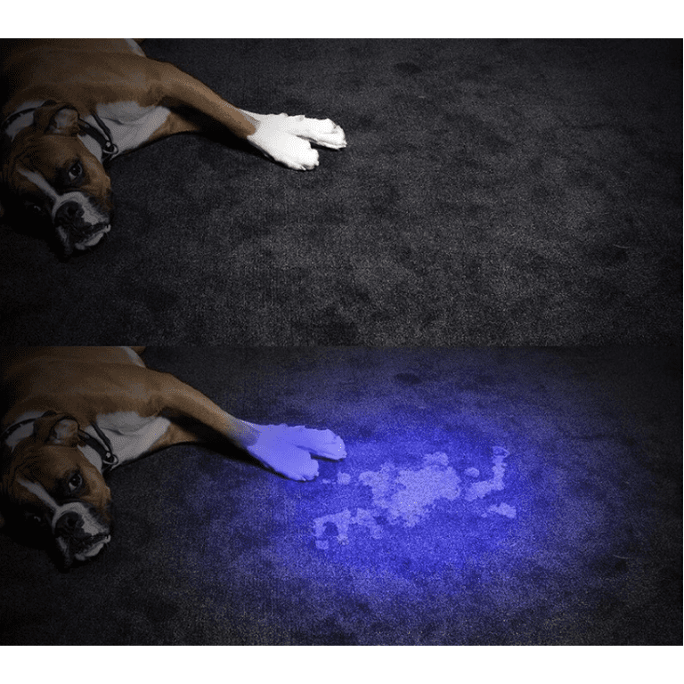 black light flashlight for pet urine UV Blacklight Flashlight, Ultraviolet 21 LED Black Light for Pet Urine  Stain Detector Finds Dog / Cat Pee on Carpets, Rugs, any Floor or Wall