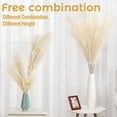 thumbnail image 4 of Soonbuy 4 PCS 44" Natural Dried Pampas Grass Bouquet,Boho Home Decor Bouquet, Phragmites Dried Flowers,Bouquet for Wedding Floral Arrangements Home Decorations, 4 of 7