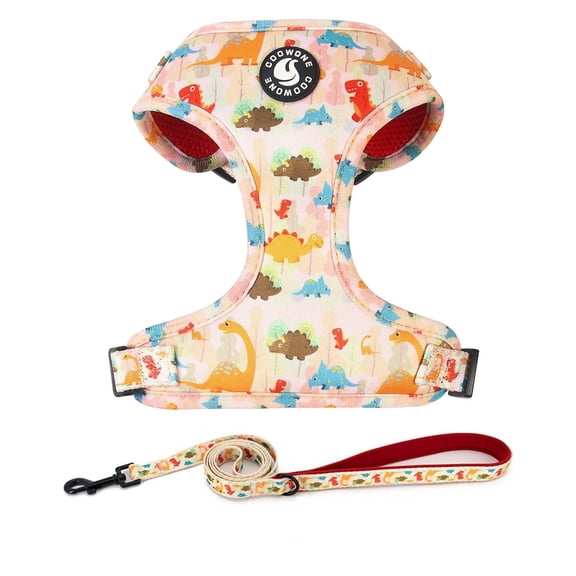 Dog Harness and Leash Set, Adjustable Dog Harness, Dog Leash, No Pull No Choke Puppy Harnesses for Walking Training for Small Medium Pet