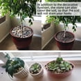 thumbnail image 4 of Bolsa a granel de guijarros para plantas Anothera Aquarium 8,16 kg PIEDRAS NATURALES, 4 of 6