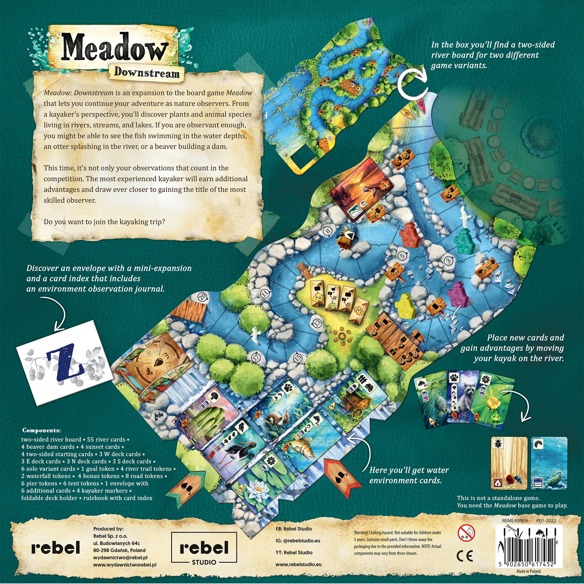 Meadow Family Board Game: Downstream Expansion for Ages 10 +, from Asmodee