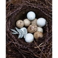 thumbnail image 3 of Soderman, Tania 12x14 Black Modern Framed Museum Art Print Titled - Winter Nest Detail I, 3 of 5