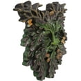 thumbnail image 6 of Pacific Giftware Greenman Face Resin Figurine Wall Plaque, 6 of 6
