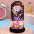 thumbnail image 4 of Herrnalise Colorful Enchanted FlowerRose, LED Light String on The Colorful Flower,Lasts Forever in A Glass Dome,Rose Gifts for Women,Christmas,Wedding,Valentine's Day,Anniversary Birthday, 4 of 8