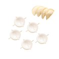 thumbnail image 1 of Moldes Para Bolas De Masa Hervida, Envoltorio De Masa Para Masa Para Bolas De Masa Hervida Chinas, Utensilios De Cocina 5 Uds., Inevent HA044660-04, 1 of 6