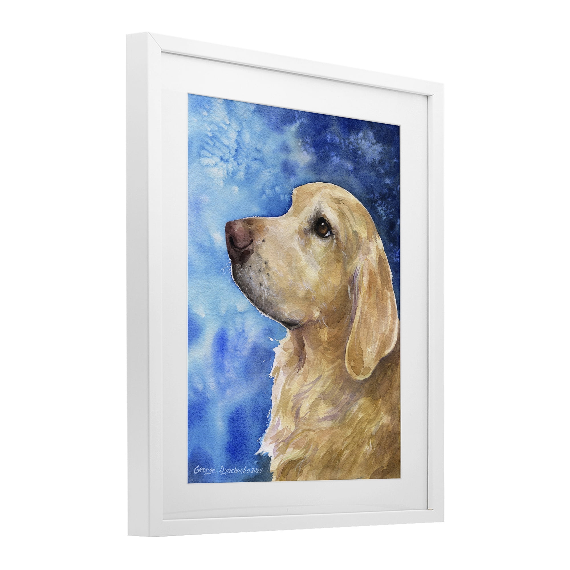 Stupell Industries Golden Retriever Portrait on Azure White Framed Print Under Glass, design by George Dyachenko