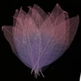 thumbnail image 3 of simhoa 50pcs Natural Magnolia Skeleton Leaf Card Making Scrapbook Embellishment #5 Pink, 3 of 8