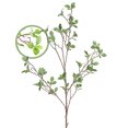 thumbnail image 3 of Almacén plegable ANGGREK simulación 100 cm 6 proporciones Hoja de osmanthus Verde, 3 of 8