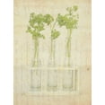 thumbnail image 2 of Orlov, Irena 15x18 White Modern Wood Framed Museum Art Print Titled - Herb Still Life I, 2 of 4