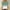 Green, variant on Clearance Mrasaso 3/4 Length Sleeve Womens Tops Crewneck Casual Shirts Three Quarter Length Loose Summer Blouses